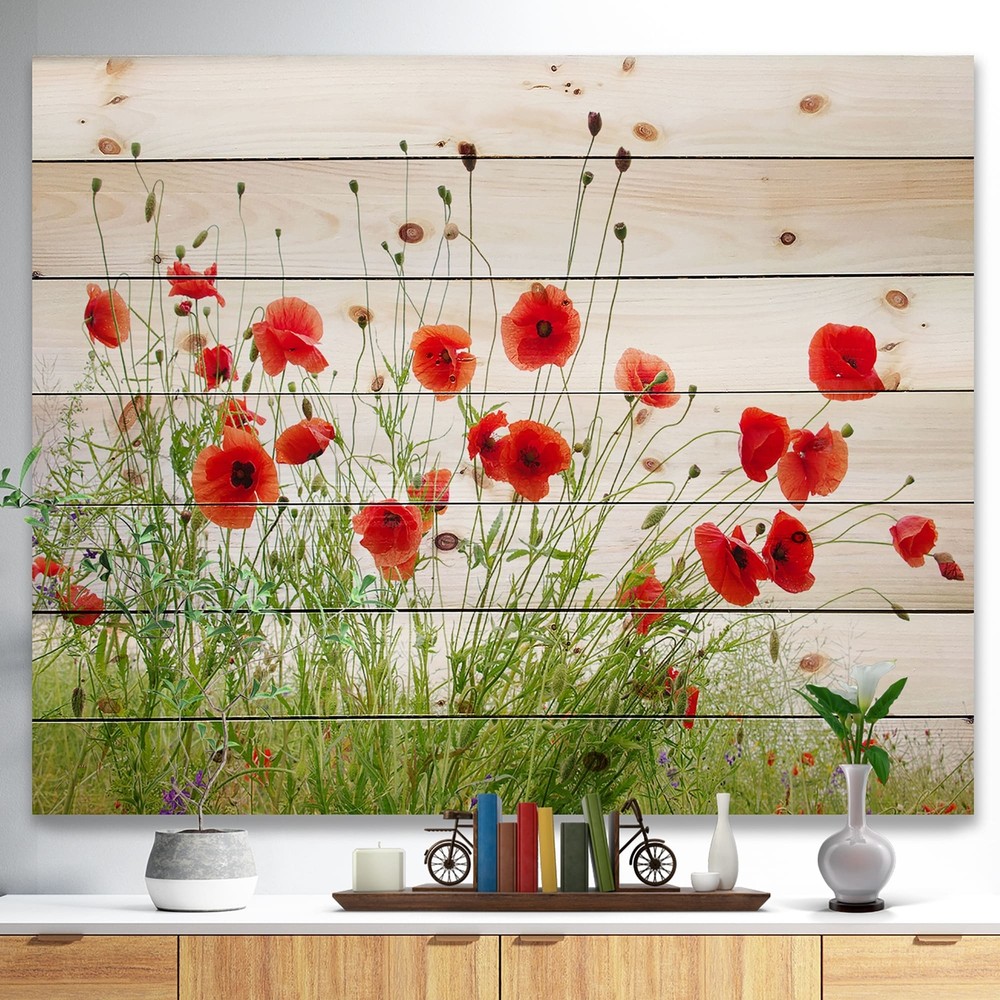 Designart 'Poppies On White Background' Nautical & Coastal Wood Wall Art Panels
