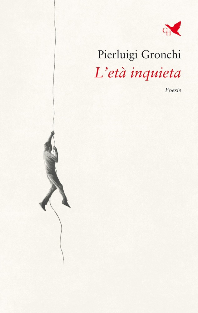 Pierluigi Gronchi L'età inquieta (Paperback)Another great item from Rarewaves USA | Free delivery!