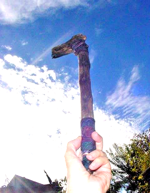 rainbow warrior shaman magic staff scpeter healing vortex wood dragon head wand