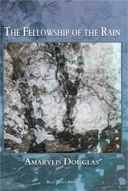 The Fellowship of the Rain (Paperback or Softback)