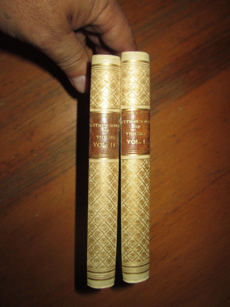 C Dempster WITHIN SOUND OF SEA  Bernhard Tauchnitz RARE 'paper vellum' binding