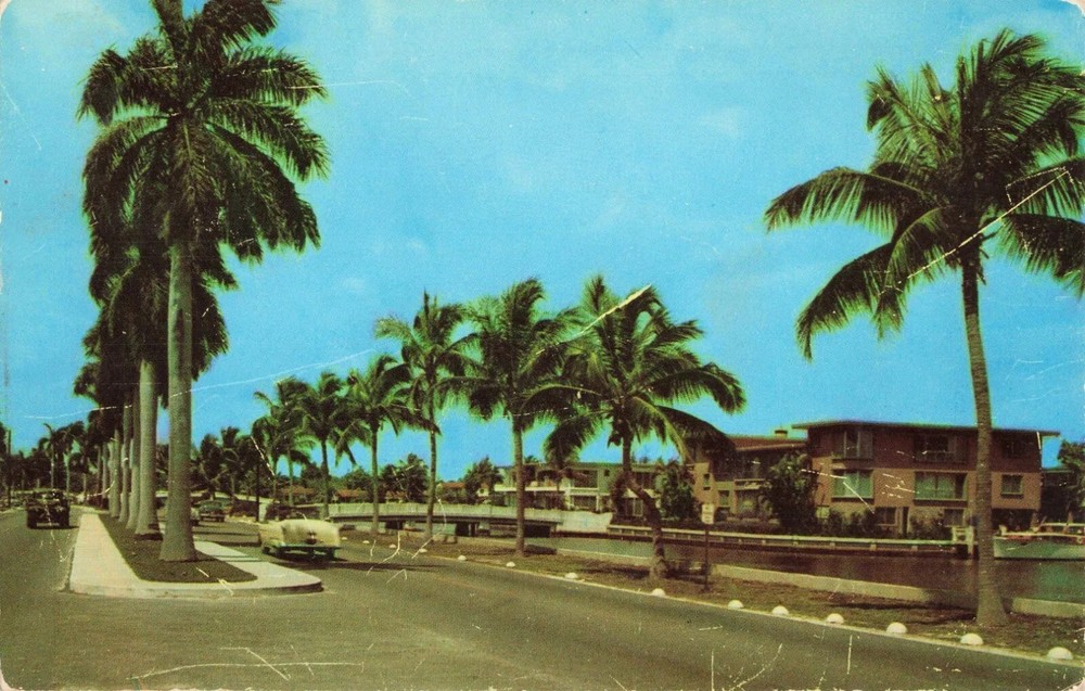 Homes & Palm Trees along Las Olas Blvd - Fort Lauderdale Florida FL - Postcard