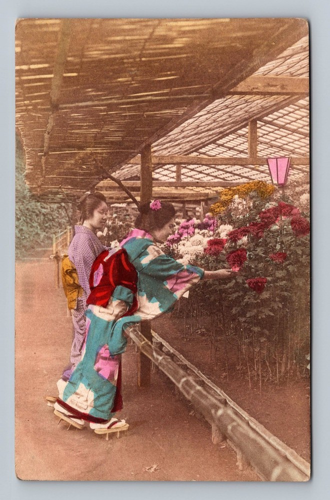 Japan- Women Picking Flowers Standard Postal Old Card View Vintage Postcard