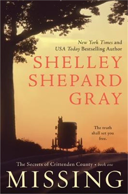 Missing (Paperback or Softback)