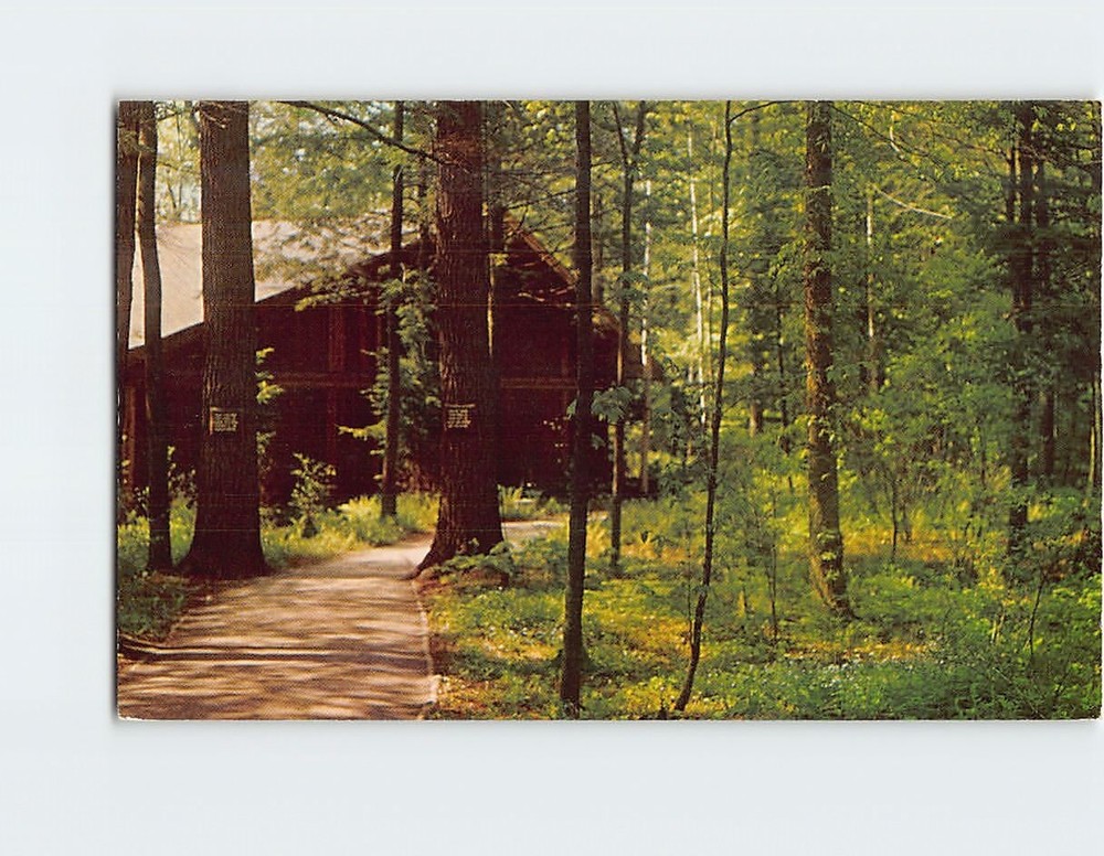 Postcard Woodland Trail To Cooper Building Woodland Museum Cooperstown NY