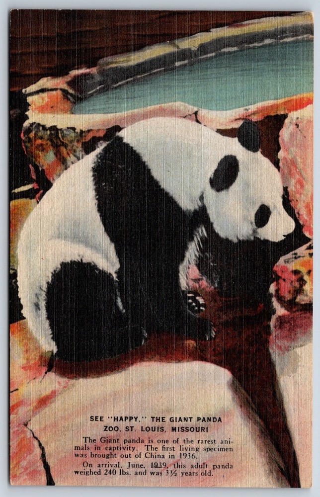 Postcard See 
