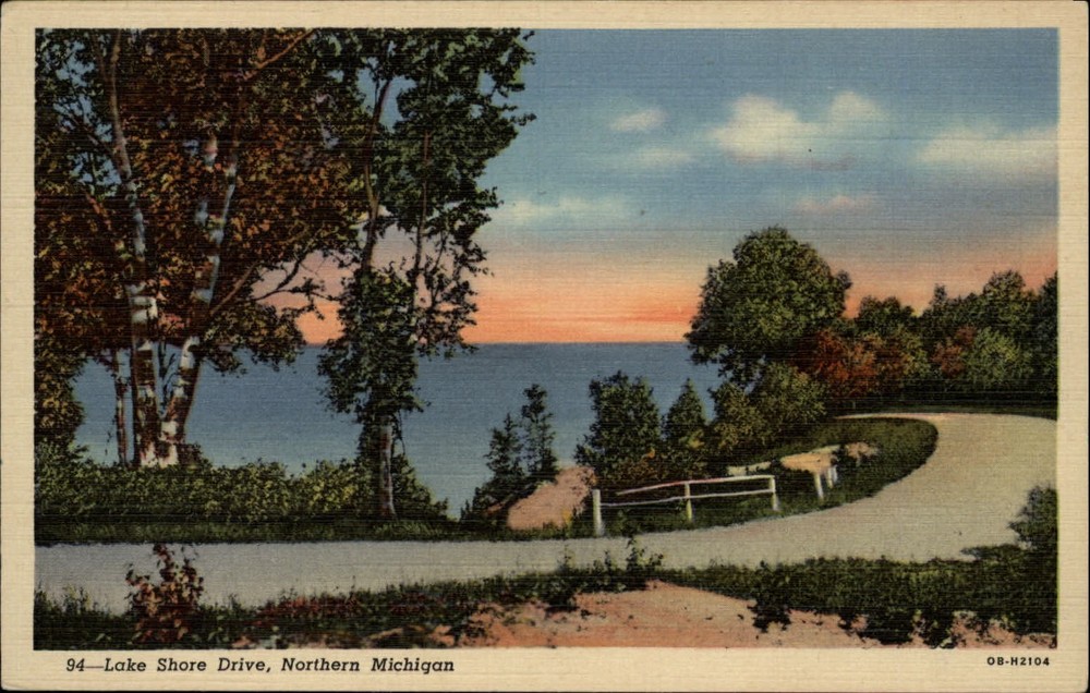 Northern Michigan Lake Shore Drive white birch tree ~ 1930s linen postcard