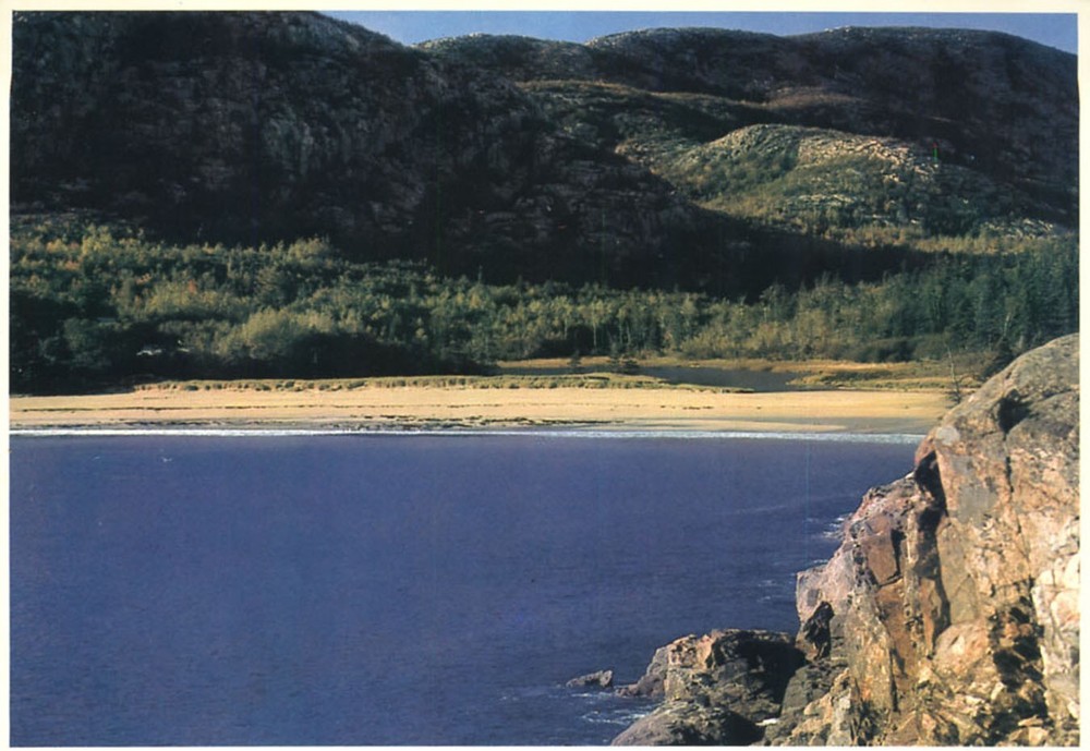 Sand Beach Acadia National Park Maine Postcard-image