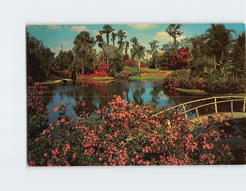 Postcard Famous Cypress Gardens Florida
