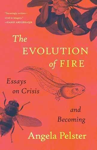 The Evolution of Fire: Essays on - Paperback, by Pelster Angela - Very Good