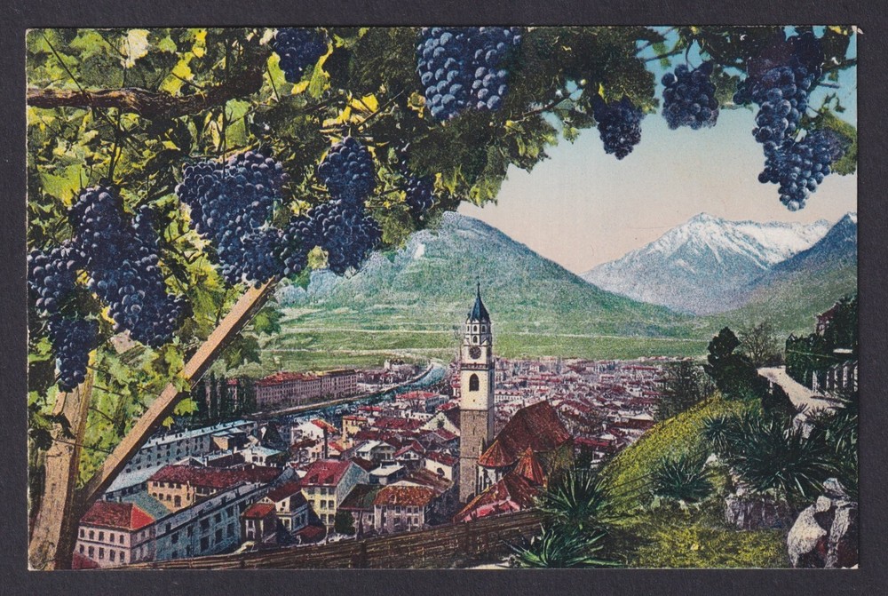 Vintage postcard Merano Tappeinerweg grape harvest view South Tyrol Italy