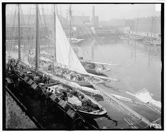Photo:Unloading fish at T wharf, Boston, Mass.