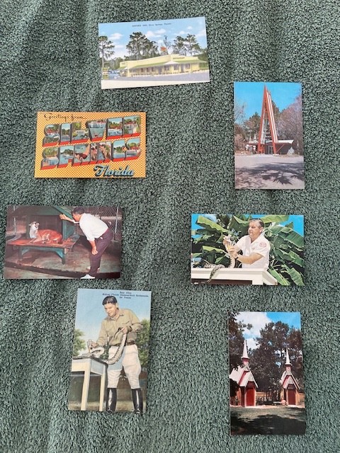 FL - Silver Springs,FL - 7 diff old antique postcards 1930s-1950s