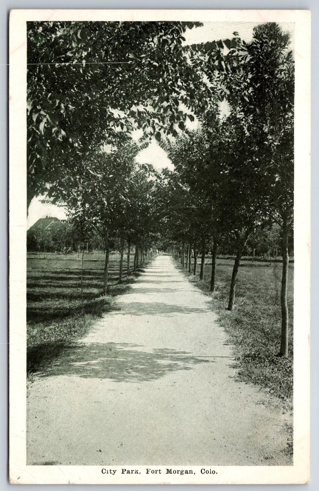 Fort Morgan Colorado~View Down Road @ City Park~Postmarked~Vintage Postcard