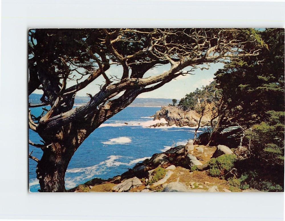 Postcard Point Lobos State Park California USA