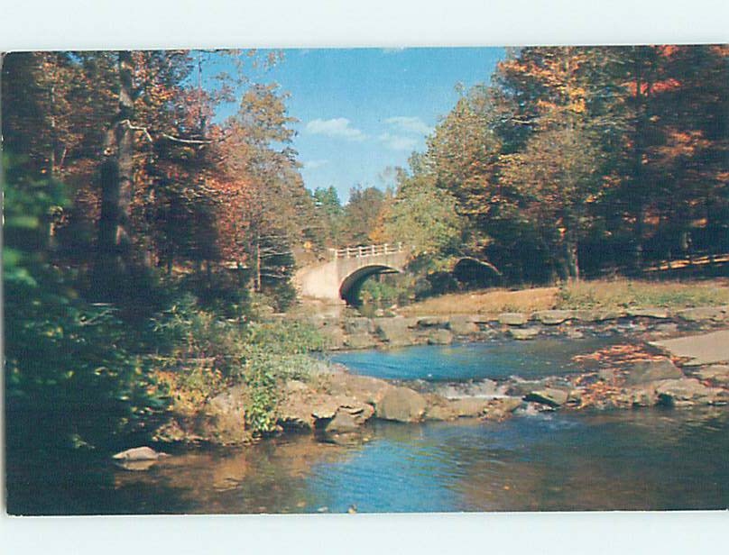 Pre-1980 NATURE SCENE Hot Springs National Park Arkansas AR m/09 AD5972