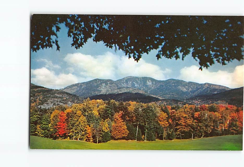 Postcard The Giant at the AuSable Club Keene Valley New York USA