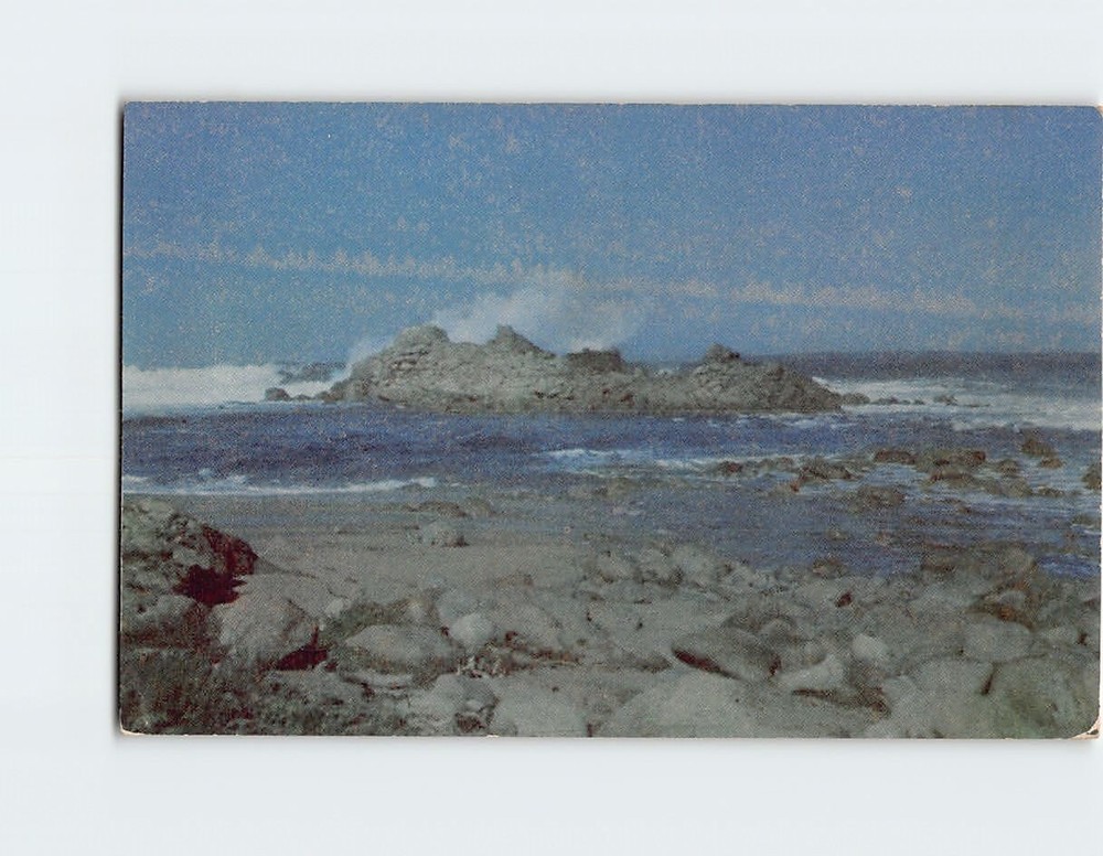 Postcard Del Monte Forest 17 Mile Drive California USA