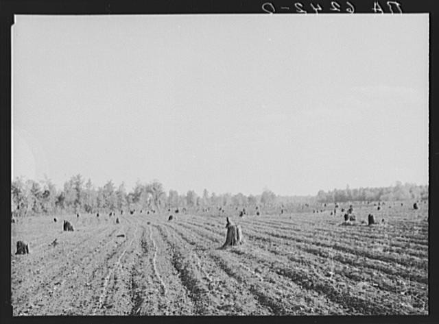 Mississippi County,Missouri,MO,Farm Security Administration,May 1936,FSA,2