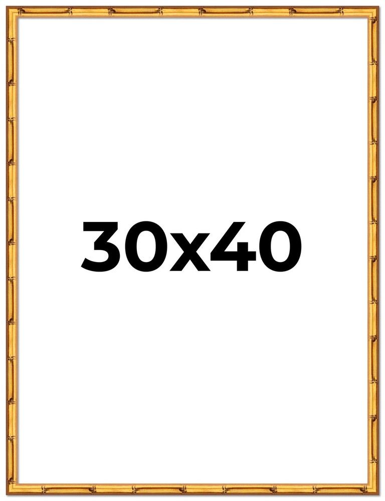 30x40 Frame Gold Bamboo Picture Frame - Complete Modern 30x40 Poster Frame Inclu