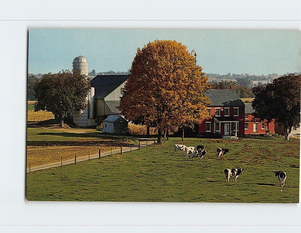 Postcard Typical Amish Farm