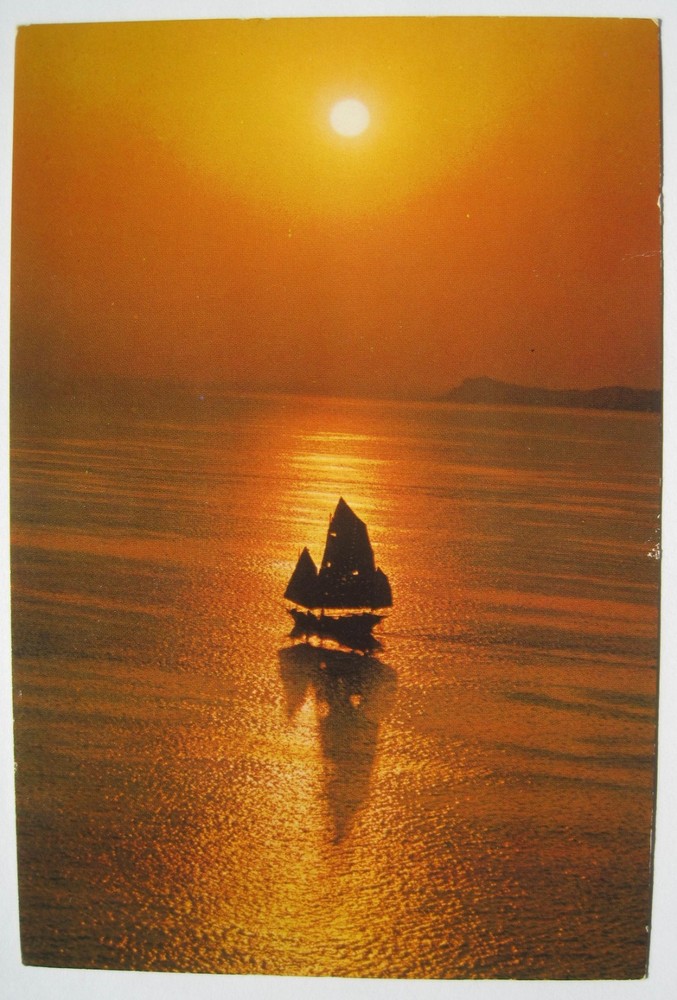 Sailing Boat coming back in Sunset, Hong Kong 4x6 Postcard