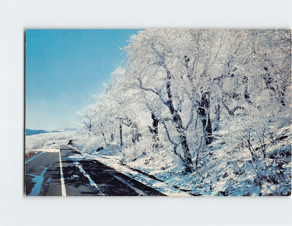 Postcard Enchanting Midwinter Scene Blue Ridge Parkway North Carolina USA