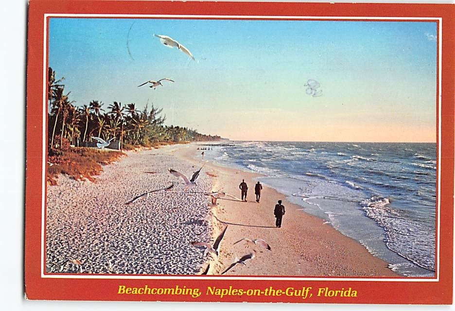 Postcard Beachcombing Naples-on-the-Gulf Florida USA