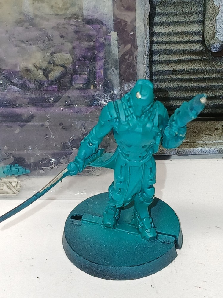 Infinity Yu Jing Zhanying Imperial Agent Pheasant Rank BSG   *SA