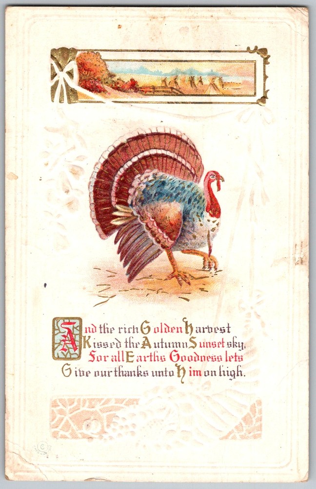 Antique Postcard Thanksgiving Turkey Greeting 1910s