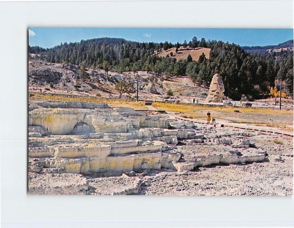 Postcard Opal Terrace Mammoth Hot Springs Yellowstone National Park Wyoming USA