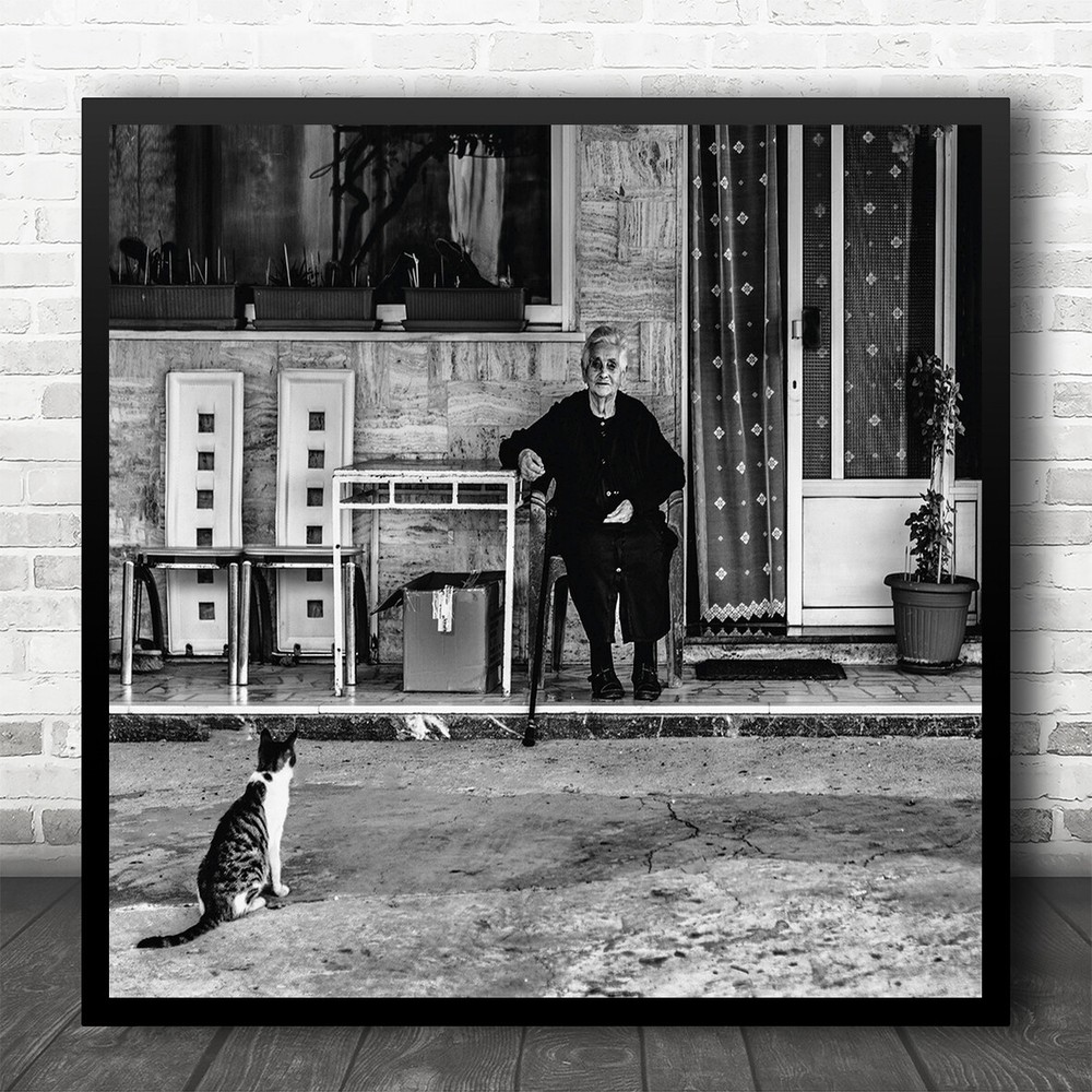 Animal Black And White Siting Street Grandmother Square Wall Art Print