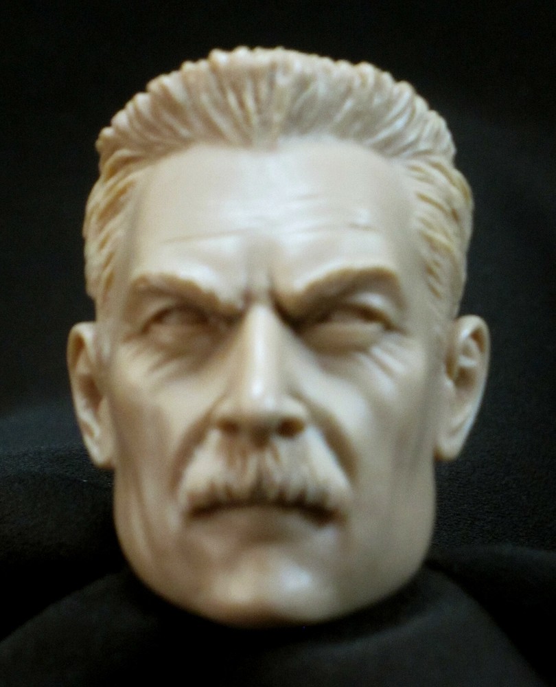 DM-26 without CUSTOM RESIN UNPAINTED HEAD SCULPT, Action figures 1/6 scale