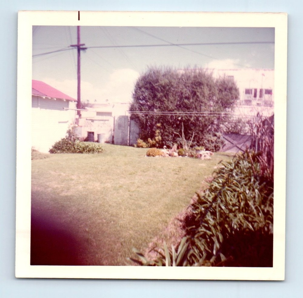 Old Vintage Square Color Photo BACKYARD GARDEN FINGER IN FRAME SNAPSHOT