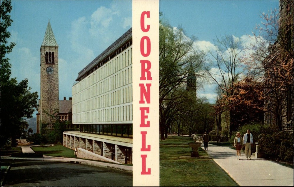 Cornell University Ithaca New York ~ Library & Tower ~ 1950s-60s postcard
