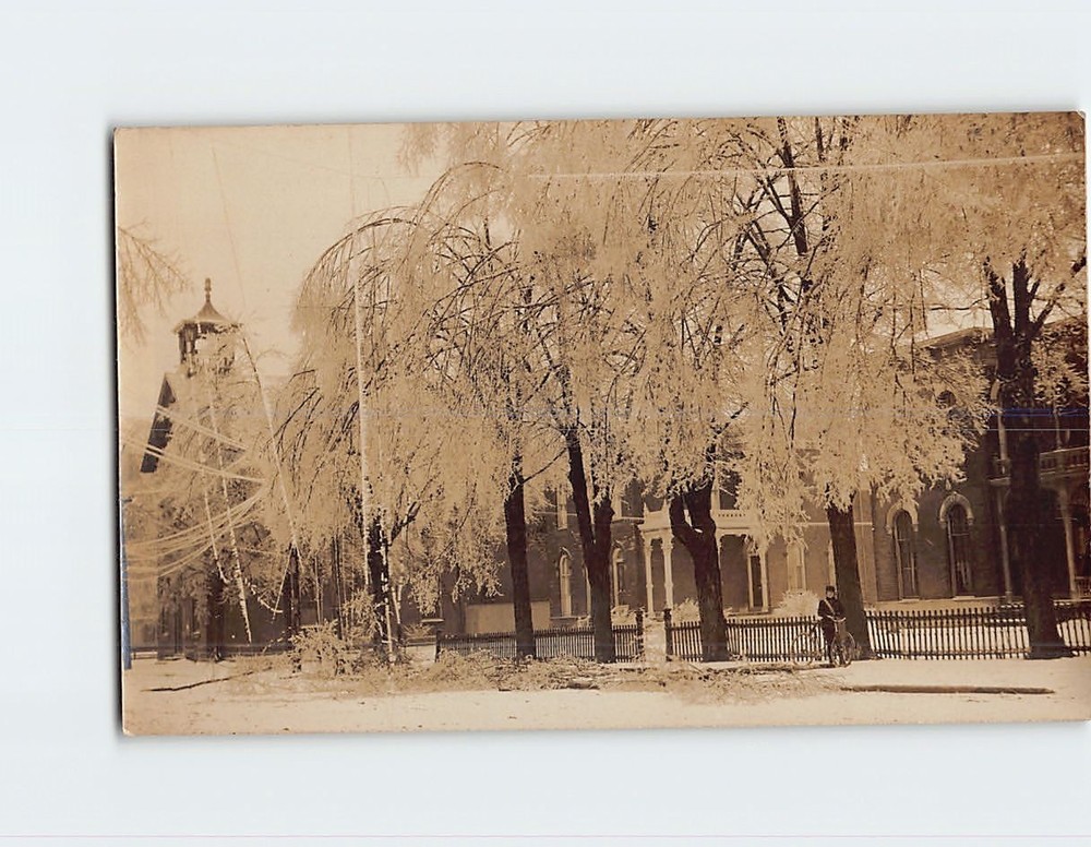 Postcard Trees Fence Houses Town/City Scenery