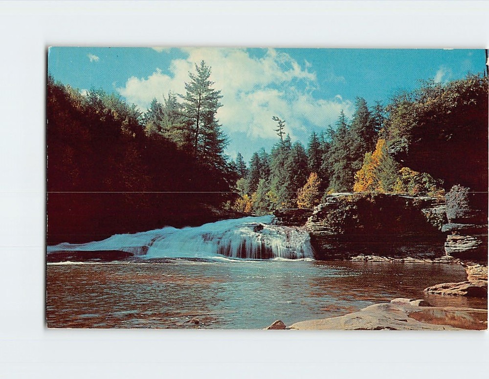 Postcard Swallow Falls Oakland Maryland