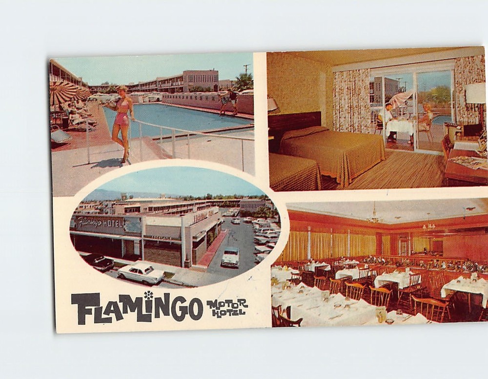 Postcard Flamingo Motel Hotel Tucson Arizona USA