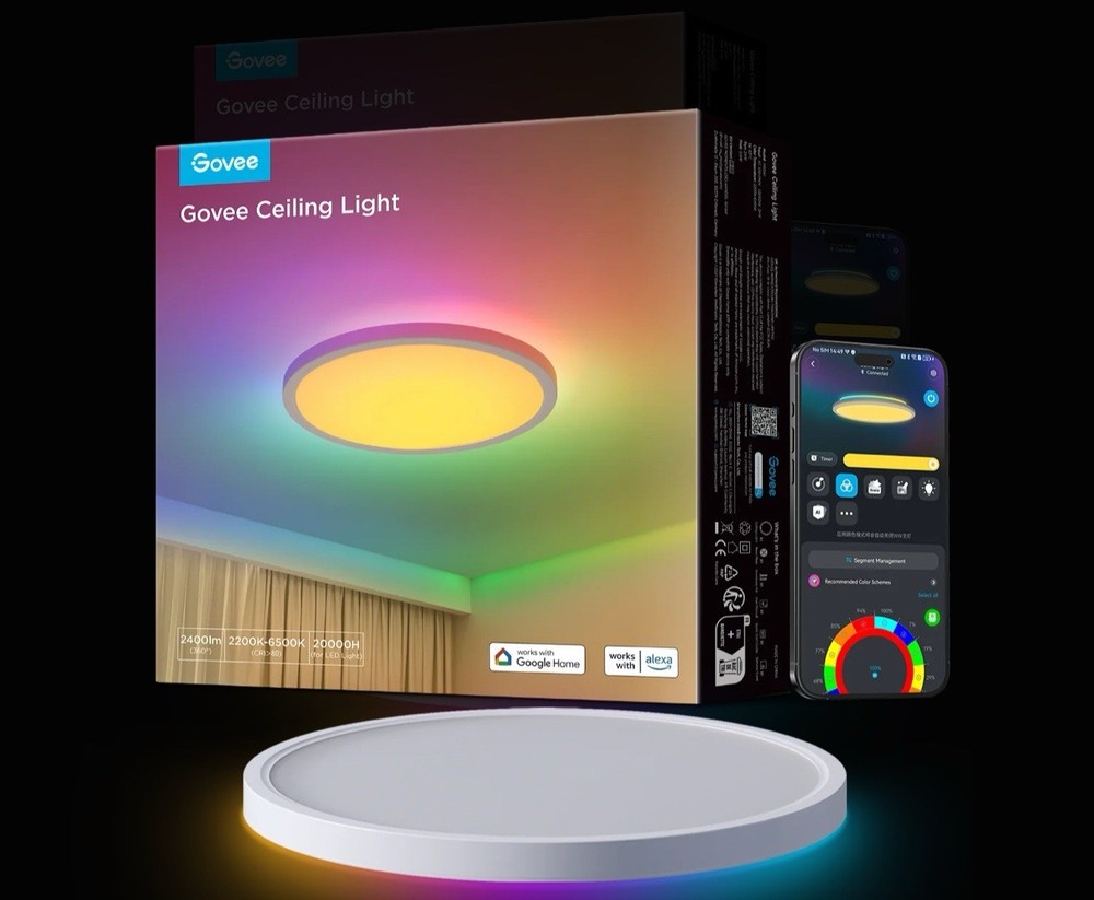 Govee Ceiling Light