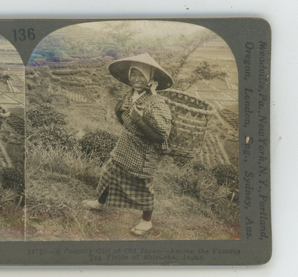 Japan Country Girl Among Tea Fields with Basket Keystone Stereoview