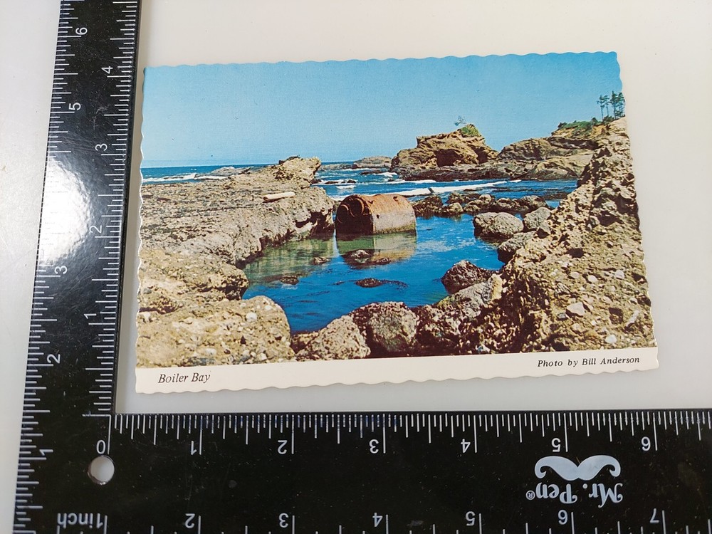 Vintage Postcard Boiler Bay Oregon Coast 📬📨