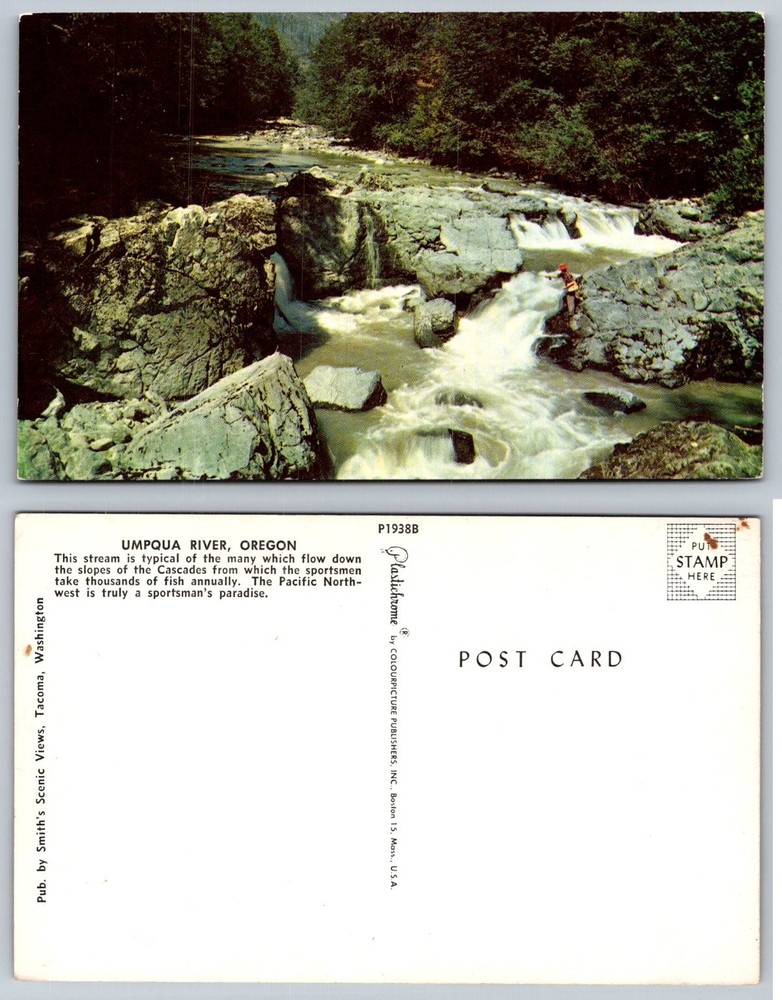 Umpqua River Oregon Postcard - Fisherman Rapids - Smith's Scenic Views