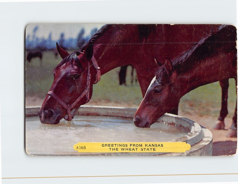 Postcard The Wheat State Greetings From Kansas USA