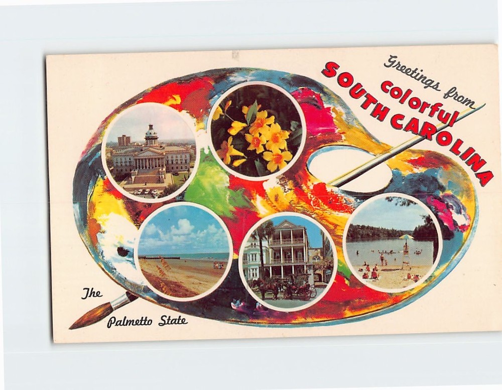 Postcard Scenes & Views Greetings from South Carolina USA