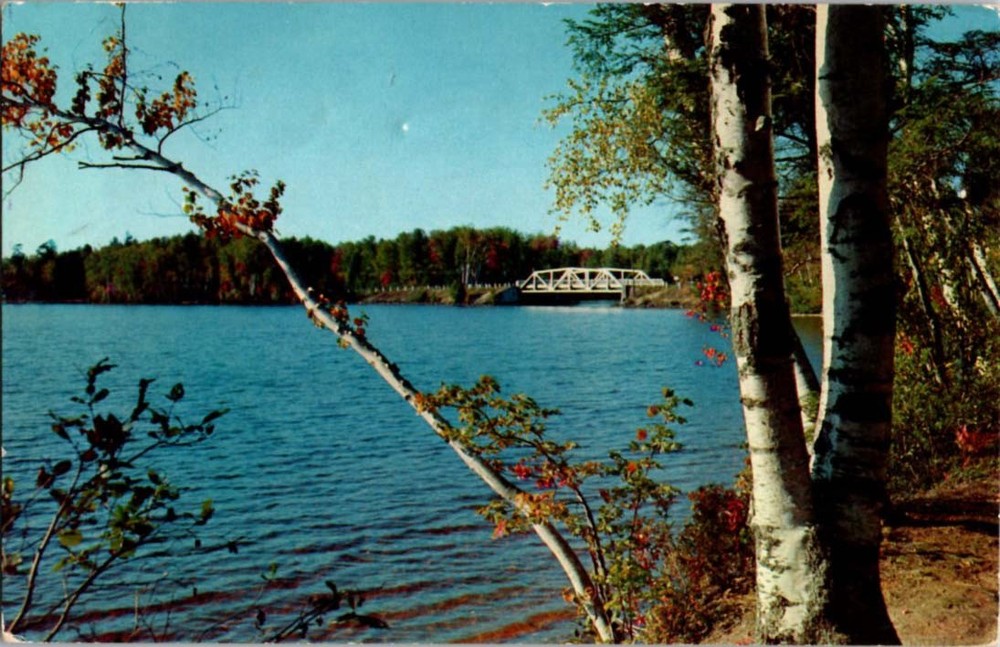 Pre-1980 BRIDGE SCENE Adirondacks - Fish Creek New York NY m/14 BC0939