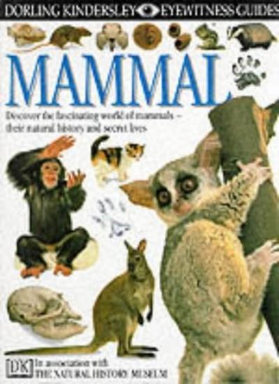 Mammal (Eyewitness Guides) By Steve Parker. 9780863183409