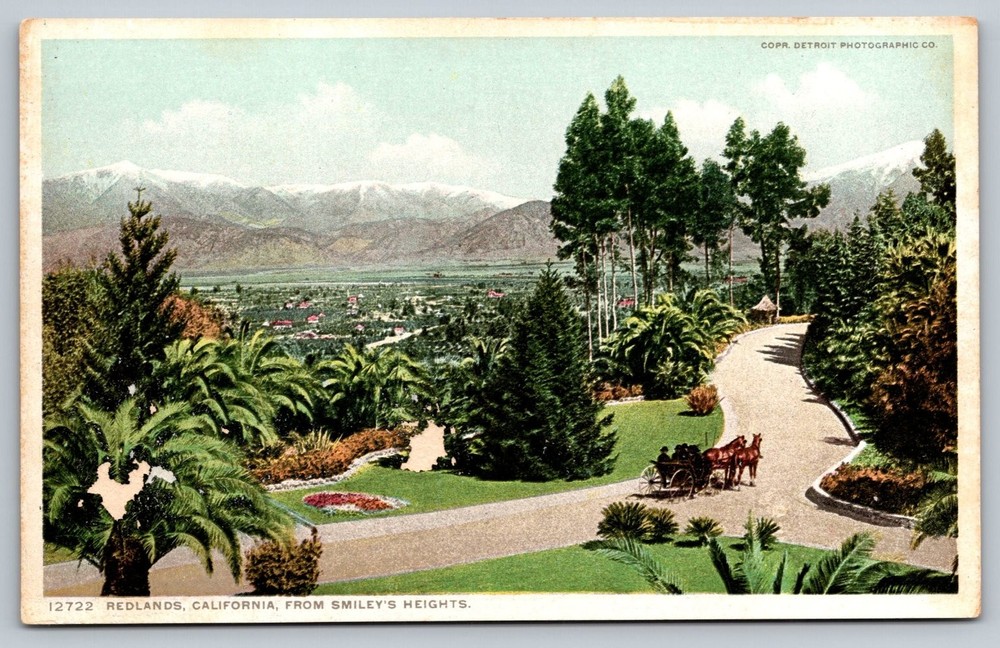 Vintage Redlands California Smiley's Heights Postcard by Detroit Photo Co.