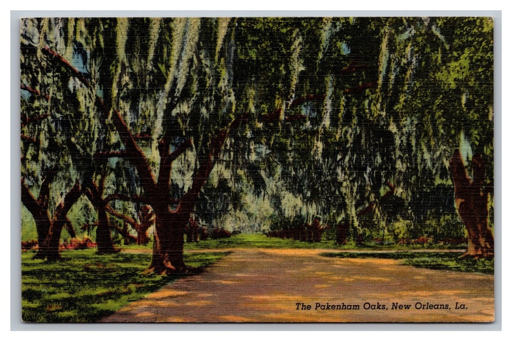New Orleans Louisiana LA Pakenham 