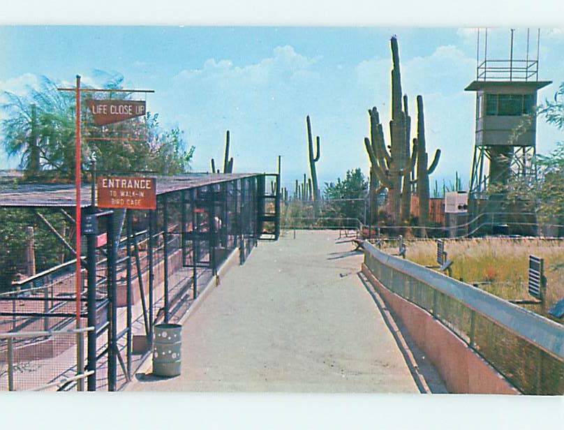 Unused Pre-1980 MUSEUM SCENE Tucson Arizona AZ hs9104