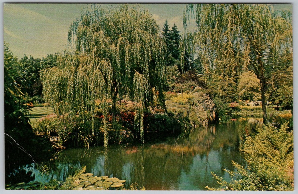Vtg Postcard Sunken Garden Lake Victoria, Bc, CA 1960s